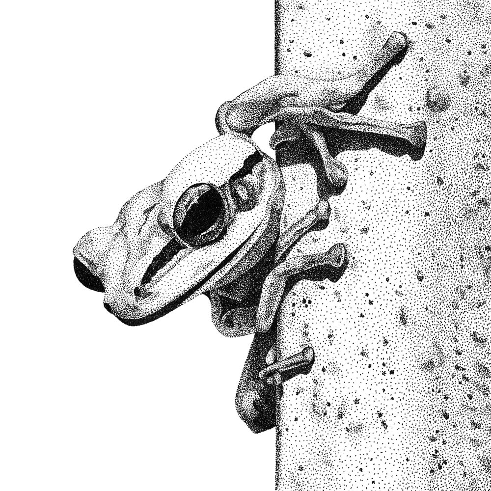 inscription 0132fa01d2cd58776193f7b62b04f561303db80e14cb43fc074d08c4fcf3d1d7i0