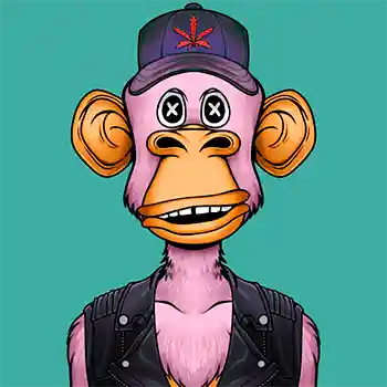 inscription 0243f15ca5ddb353646c8c0b7b62f4f98bb2a8fba24f27675d85b43e43d27a05i0