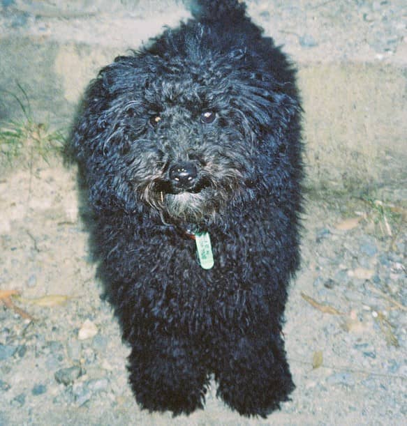 inscription 03abad878e5d86c338929c7cbb7da32c7d949e96870175960c0b701a60bccc16i0