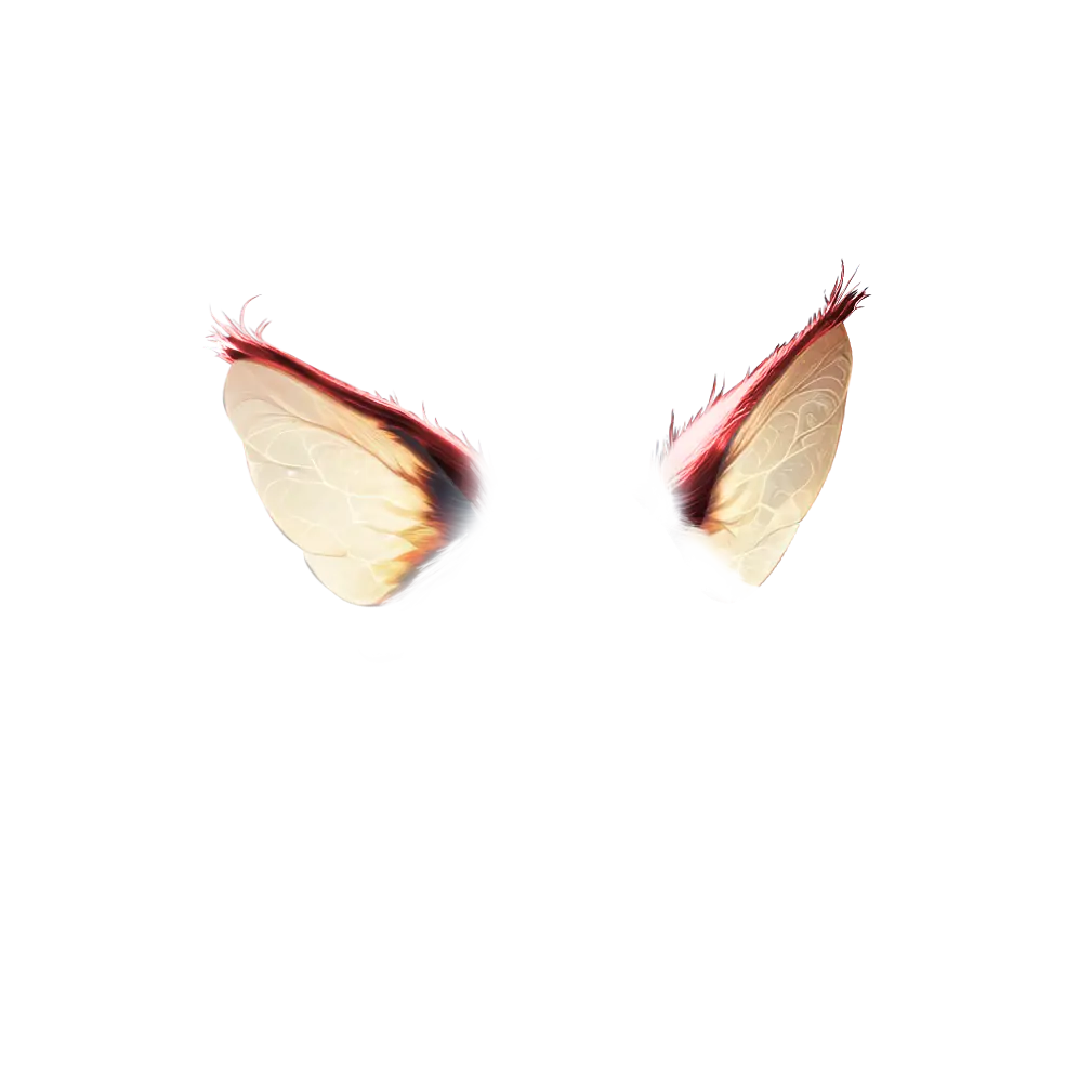 inscription 0b4734d02a8e8d31467c25856a16aa1d9d0c3bffe2959be48d60d9c76edaf87ei3