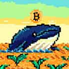 inscription 0d8877adbc3d74ffb61d2abd8145f1695988e0042568a24c26fabbcce1c1c806i0