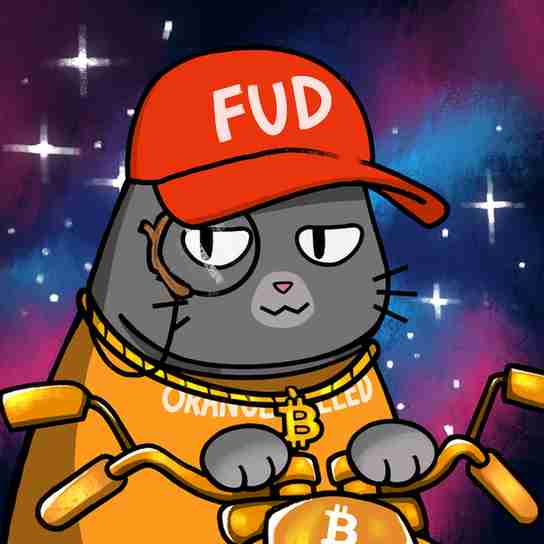 inscription 0e48c442a84d886cfe2e86dd5592b1af65bd0817bdccad7ff555e253985efb25i13