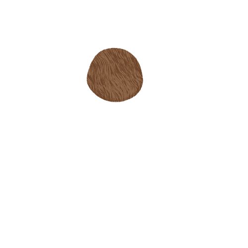 inscription 0e90de07483ab04f6858bea3445249031c9a74a7d4a7c2238d69ae1b3f2e83a1i0