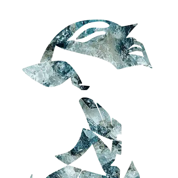 inscription 0ef2e2273c3d74ae677031d55875d33d04642a85296f5ed41ed1dd557a78a977i14