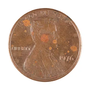 inscription 19dd6281e501a9efa24847e6c67b30fb4086ec516f63cf308f72daa1c0c99a96i0