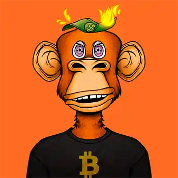 inscription 1e031889a273fee1765031cd732a6fc6c6db13e6bbbd762e922aeb8bcc0f98dci0