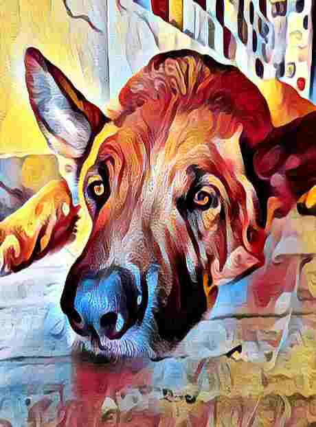 inscription 1ee7653d05620f5a33fa5a874a88bc5166ac007d4ea2a02a48bb8f03c047f61ai0