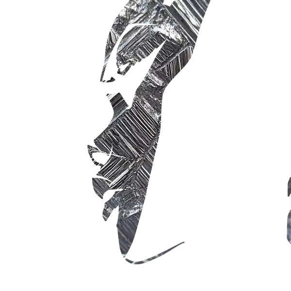 inscription 202a3a20eed3dbf9c193d1de0ee1565c57b71e4339864171290f34bcbffe21eei2