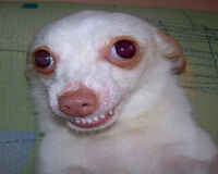 inscription 287de6ad945797c809322af067d924e1d3b08ff4bcc39c2c391d697c069dfcf9i0