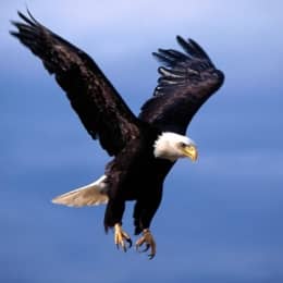 inscription 2cd735a43cd99ad103210072aa485a82d7e7498efb71403dd59de9c527d1f1d5i0