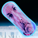 inscription 38e78d2dd4d1aefb95895bab6f4c9f3fde2fdac5fe767b7b696830cdfa24a50ei0