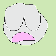 inscription 398c57c5884d6fb18cb30dd8ceb73e890900f6b538c6ea3614a2199871dc9eedi0