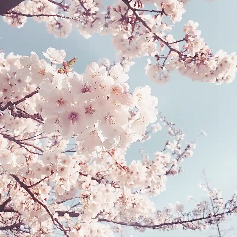 inscription 3a8638863df03cdbe4ed3c94ca2dbc453cb8a6fa4fdad95b2ffc99fc2253574ci0