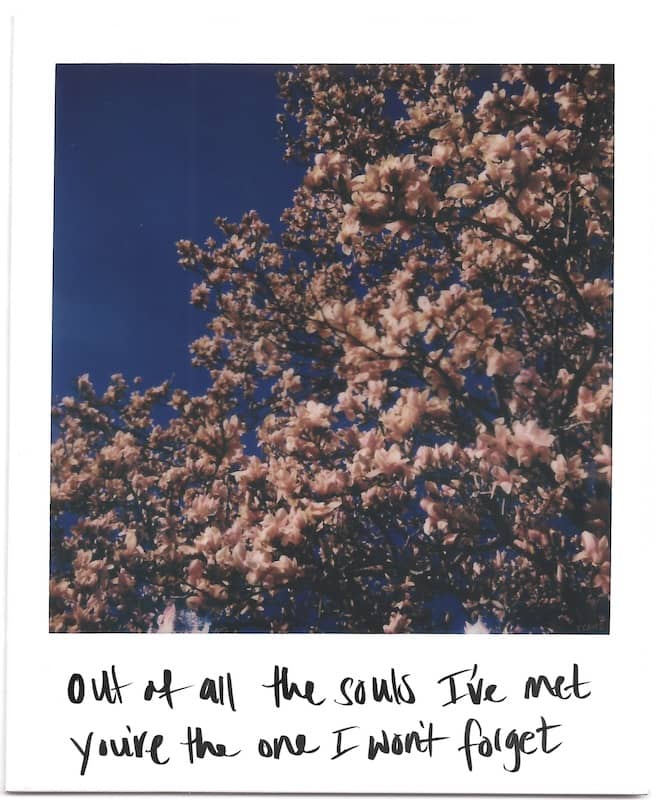 inscription 3c9907741e448c480e9591abb1d2868052c6de5ffd93f54e93ece7c20cc77e2ei0