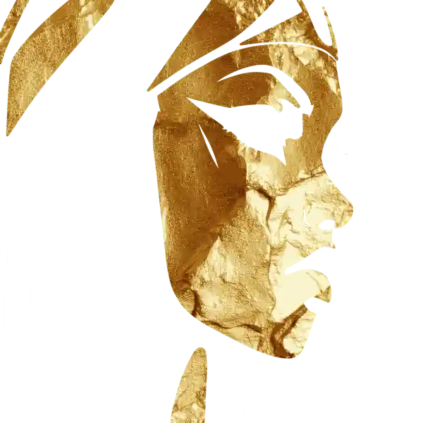 inscription 3fa7556cfda81698c4cf84d7f30a8cd00fbfd441a7927f11233d3ad906e2b60bi8