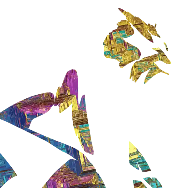 inscription 41d4562569780acde848cdf870abb760e32e567d90c362b2835d15d741589d32i2