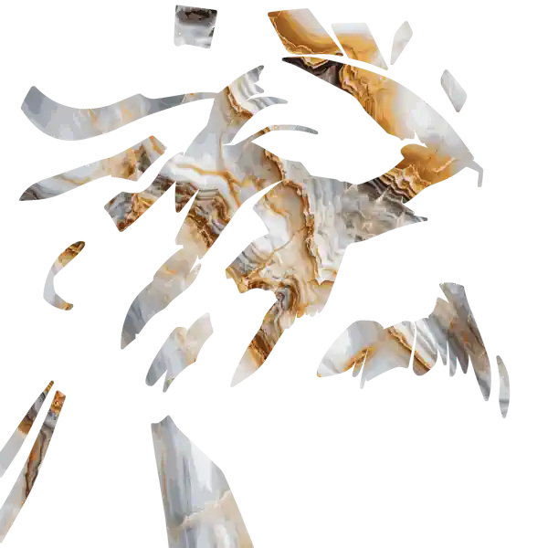 inscription 422d4a52a8b88bc8539a4ddcc96229bdfb05fb7f0f8e56b7721ee71d91bdcce9i0