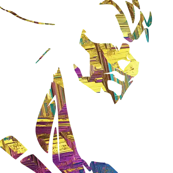 inscription 453c529cf94a6b6c92c546cca99927b54db96911470e131fd3bec7b1e8a2bc14i2