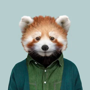 inscription 49eaa03bf893432c04b80c1f06a652ad4f70c3d918ac366b0119ccd238b5c8e8i0