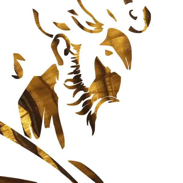 inscription 50ba916f8f1a7264b7024a9a7e69c11c2ed3442f63f556aa4a6aa5589ae3eddei3