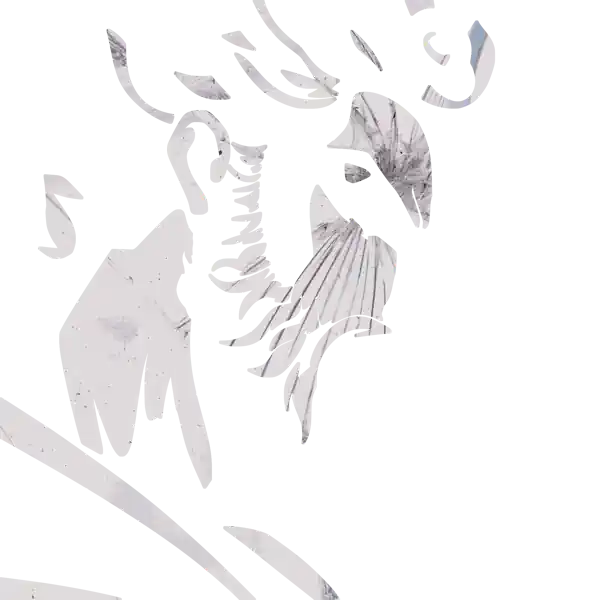 inscription 50ba916f8f1a7264b7024a9a7e69c11c2ed3442f63f556aa4a6aa5589ae3eddei4