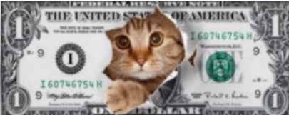 inscription 51e615a453fa2d827506598bedb1f98f2b24dfd940f95749cb0e5cabb33e67a8i0