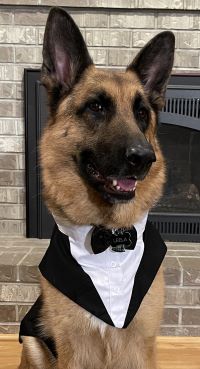 inscription 52650a26d5ac8230e77d693f91f6e08db9c2e4d39921e76096879e9bedeca6dci2