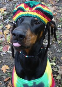 inscription 52650a26d5ac8230e77d693f91f6e08db9c2e4d39921e76096879e9bedeca6dci7