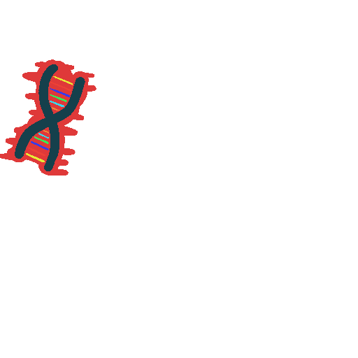 inscription 54251cb26a99a7a815f3bccf5fff3503cd3c2a52dfbd4d02925f9e43ffe11e44i45