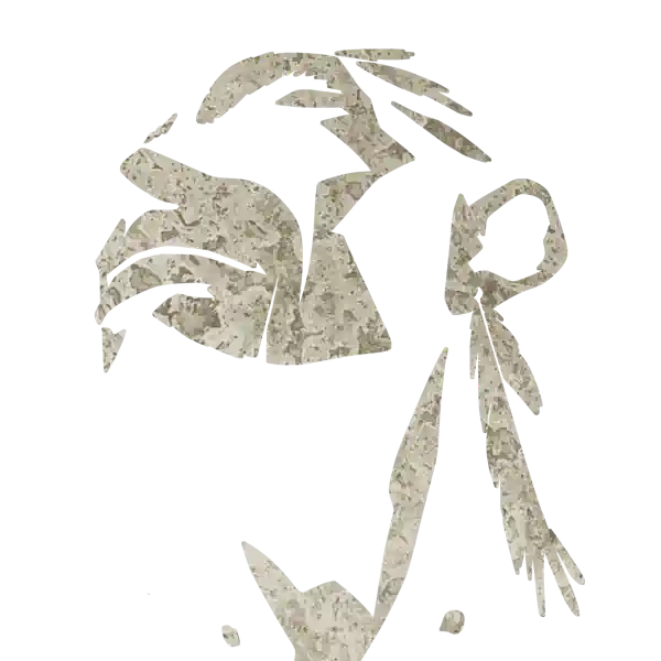 inscription 54e85d7c82e37c4459dc4c16900128b3ba2a6f348c5f1606f600b0ffd2c5c185i4