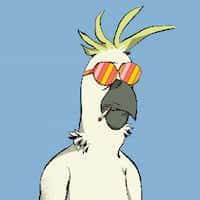 inscription 56efd52e0bac2be1f3ea859a793900a90a6c2a36e2ad28afe1551f8565913daai0