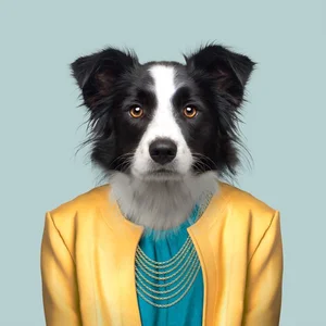 inscription 58cb6565a426bb82c96e7954b6fc7f8edf9d88d28cf4a82d3ac5cf147508176ci0