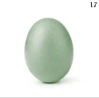 inscription 5e147d6d3f0e9c61d881a339ded19f8631fd4f55a60fa4cac0c30566a7cb799bi0