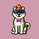 inscription 61935d7915942f3331dab2076e664a9d78965b3b08ca5e364052faaedd5671cci0