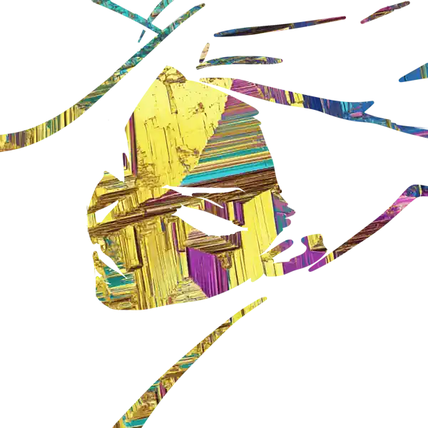 inscription 61a256db2787e8ca7ca735267ec4a77c11e8c97906ac1106be346c5c3a9e120di2