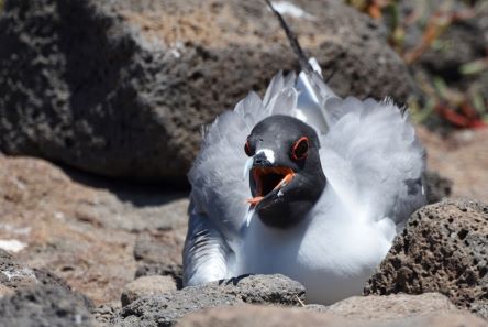 inscription 6322ec9bbb459e2733565ee0e07e6b1a5aeab91e6e6e15dd68f82e2152bb2953i0