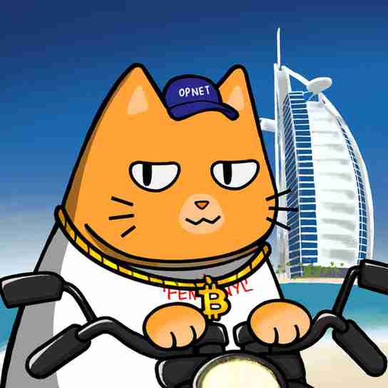 inscription 63ec396160708f310d9c31d7f1ddb1a89425d3a841cab721f9287ece93d0c91ai8