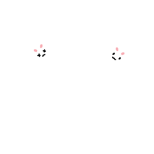 inscription 6dd3e36463f1810231825b21c9849f0dce0f231c237c643246d3b0cdfd65c6b1i0