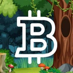 inscription 6e8fd35fe6f56177ed89a1fa8019de77b41db3df3a4d688b37faa4d35fb9b741i0