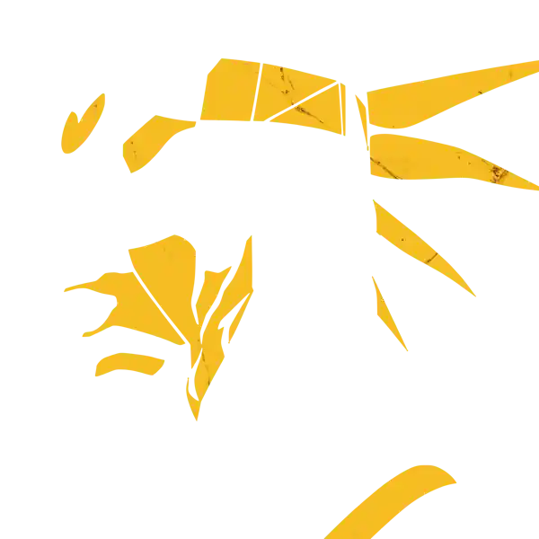 inscription 6ec20d13fa554d3ba9fca4c428df312ca4b47422dba7d01cf20e9ab26aa4b78fi3