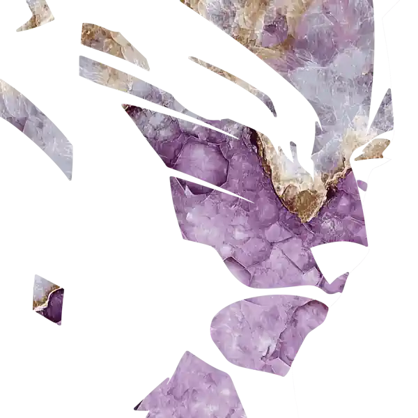 inscription 7046bf13cfd7743340b200bb287ea958cfbc542d13edc7103e1b0ae57f3d1eaai10