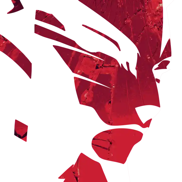 inscription 7046bf13cfd7743340b200bb287ea958cfbc542d13edc7103e1b0ae57f3d1eaai5