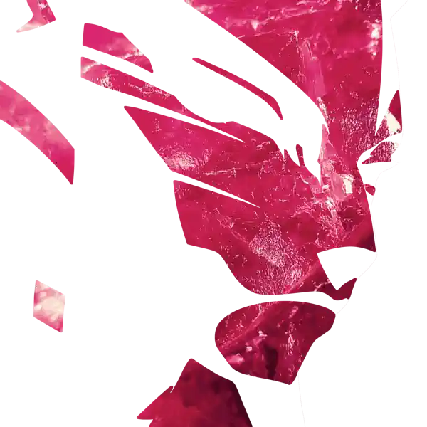 inscription 7046bf13cfd7743340b200bb287ea958cfbc542d13edc7103e1b0ae57f3d1eaai6