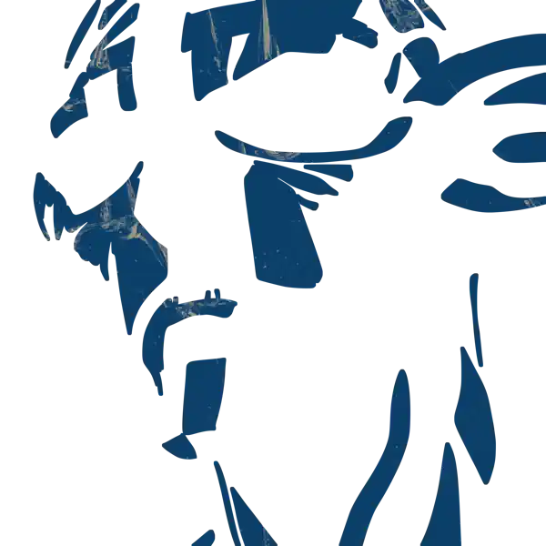 inscription 709d1dc937f4d850ca5f7e3e7eee68f74df24020d00ecb41f099d8fb84d01249i13