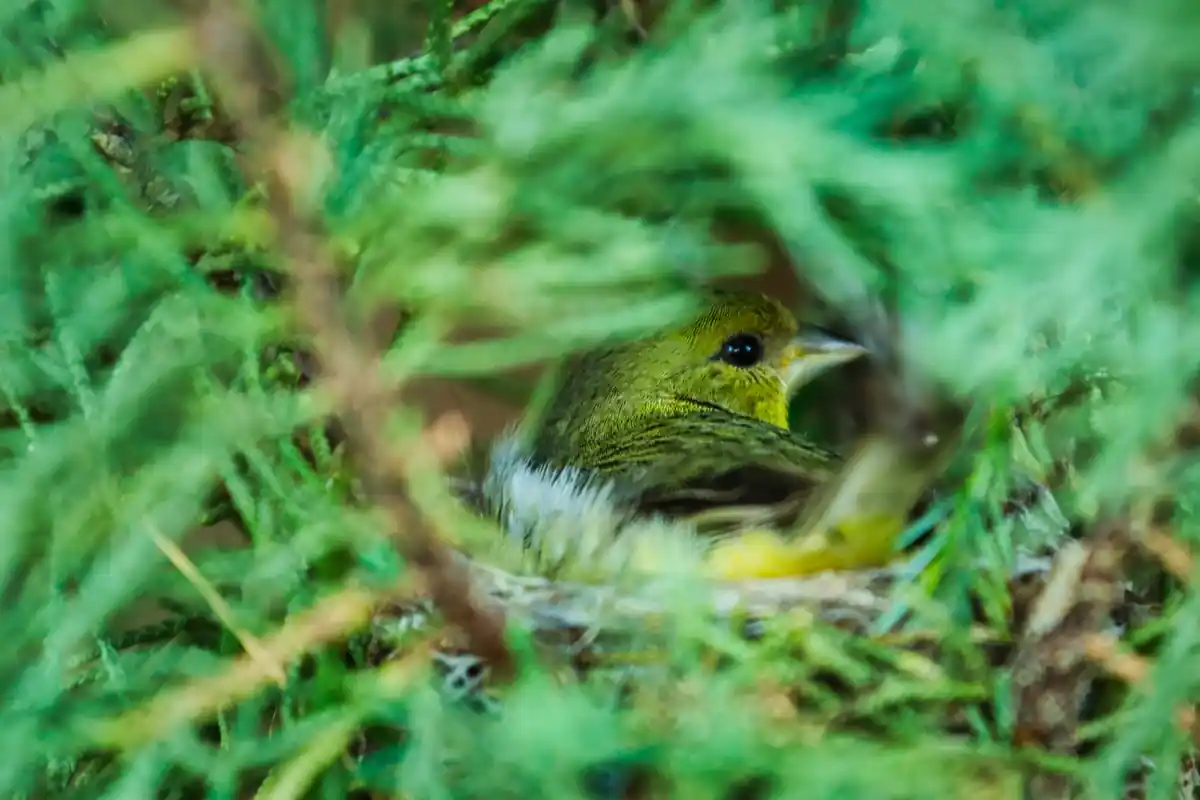 inscription 75e4f5ef1bb38fba9ee0474b1e9d4bf3b1c999ecd03408e69e42951fe97d177fi0