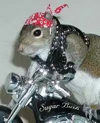 inscription 7771365a7a598f3d173420d9c997dacfaa32b0a8c0cca94ddceaa4d1f6fe7ef4i0