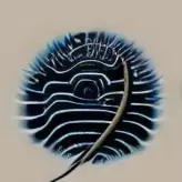 inscription 7fc774260e50e531e19db5cbfd64755afb3b61dceda22b83a6547d6261afd39ei0