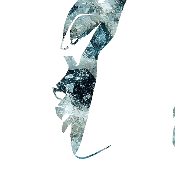 inscription 84c505f7aa453097e0584481a0c05dd738f223e114c62d1585c6c204956d6d4di17