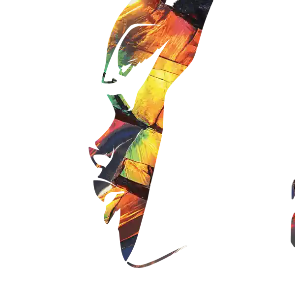 inscription 84c505f7aa453097e0584481a0c05dd738f223e114c62d1585c6c204956d6d4di6