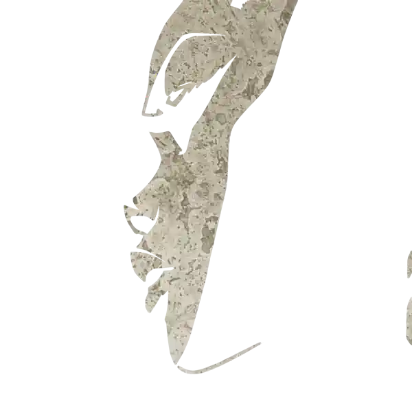 inscription 84c505f7aa453097e0584481a0c05dd738f223e114c62d1585c6c204956d6d4di8